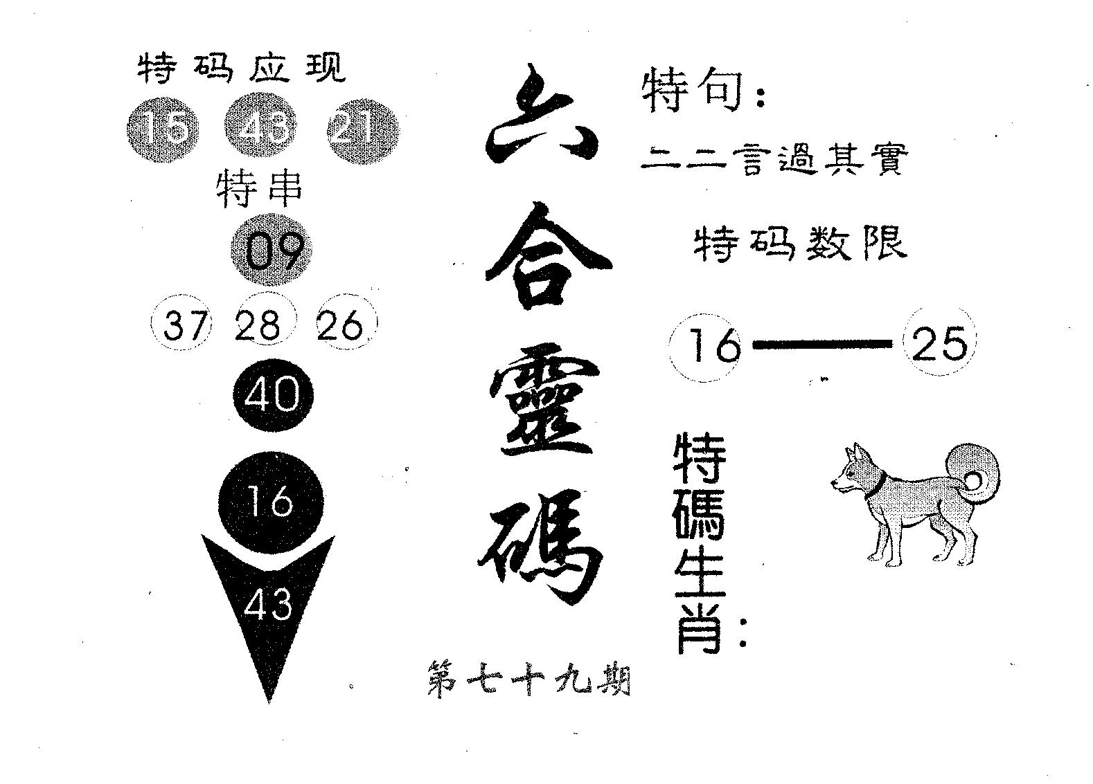 六合灵码 第79期