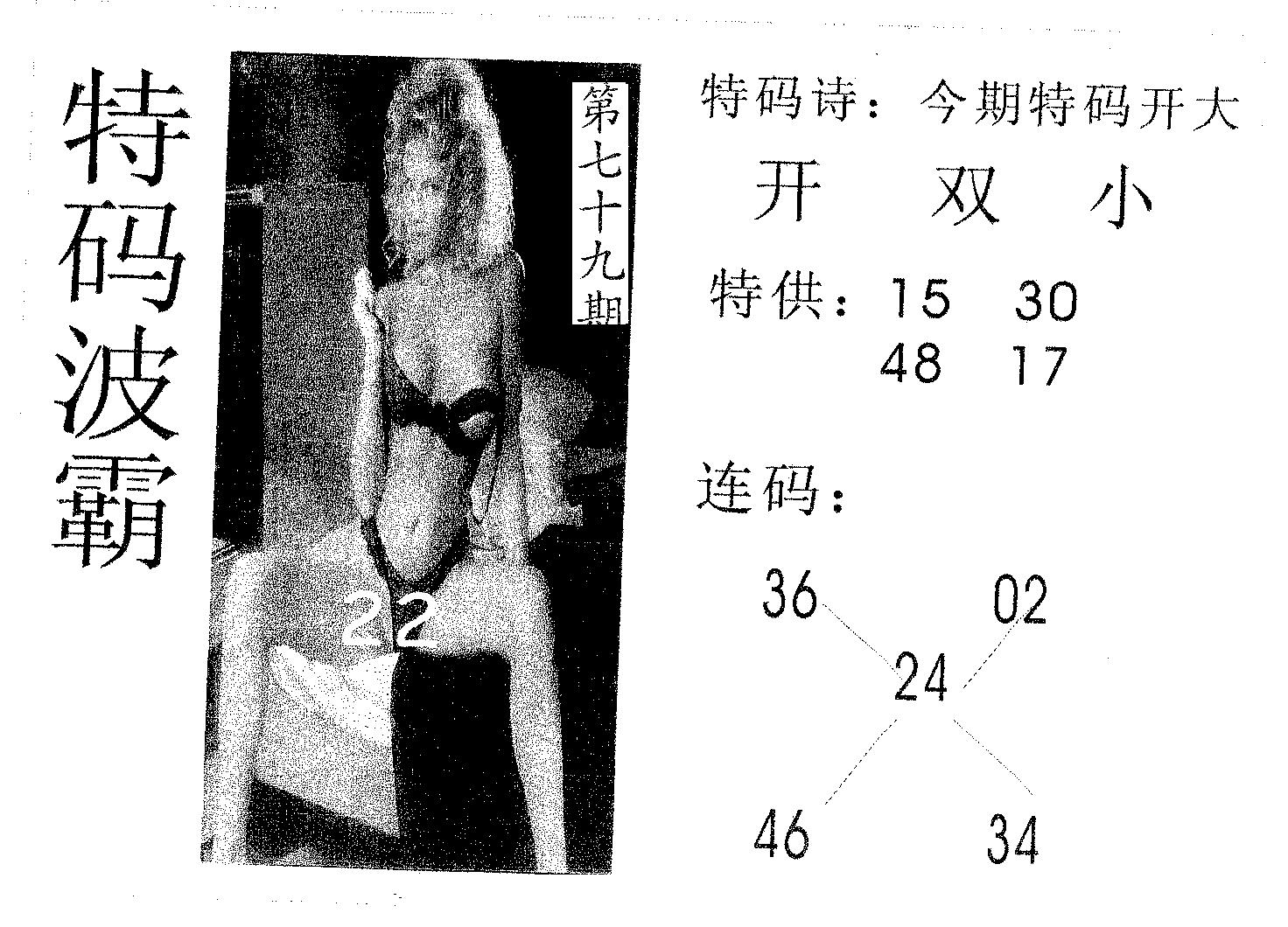 特码波霸 第79期