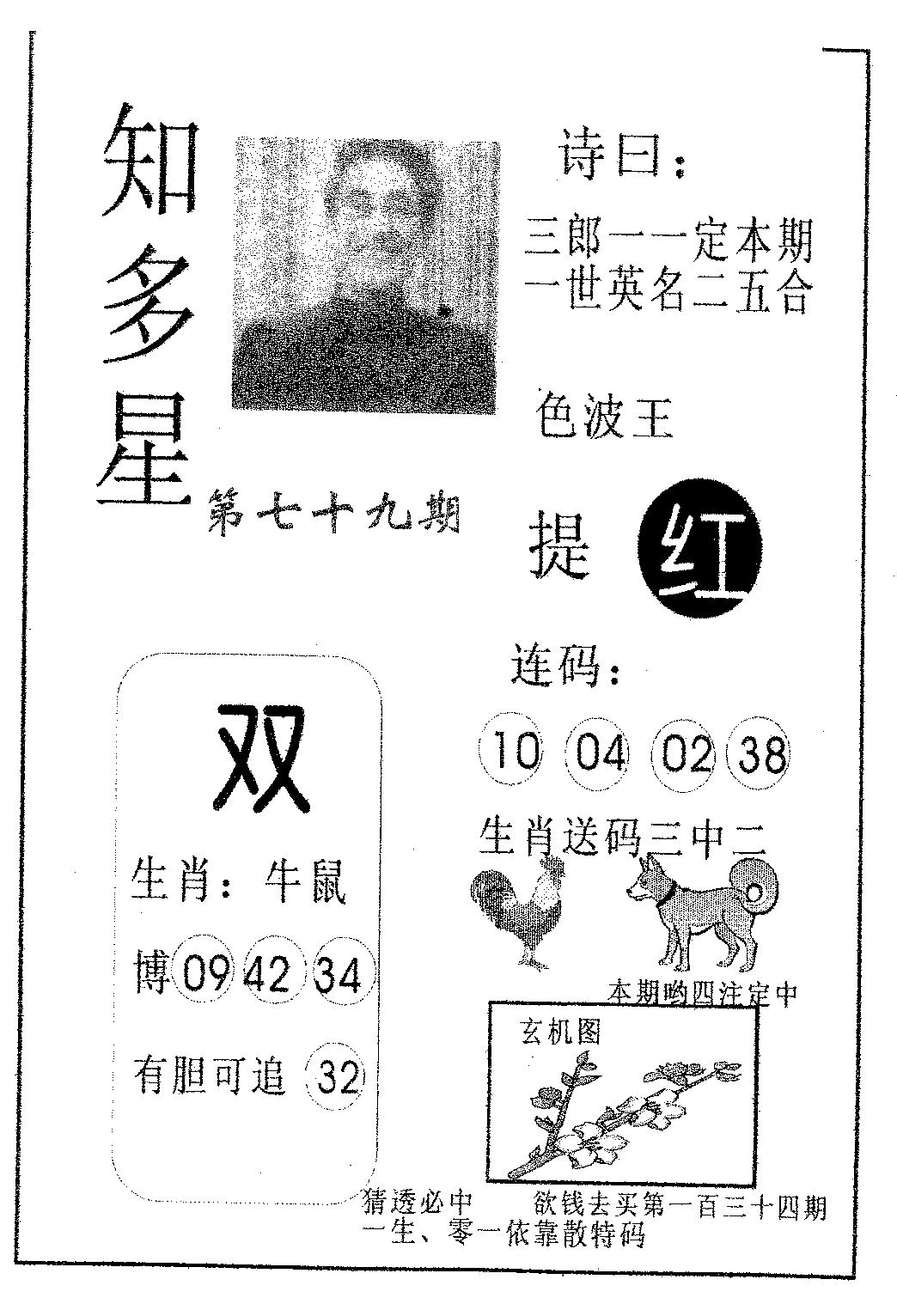 知多星 第79期