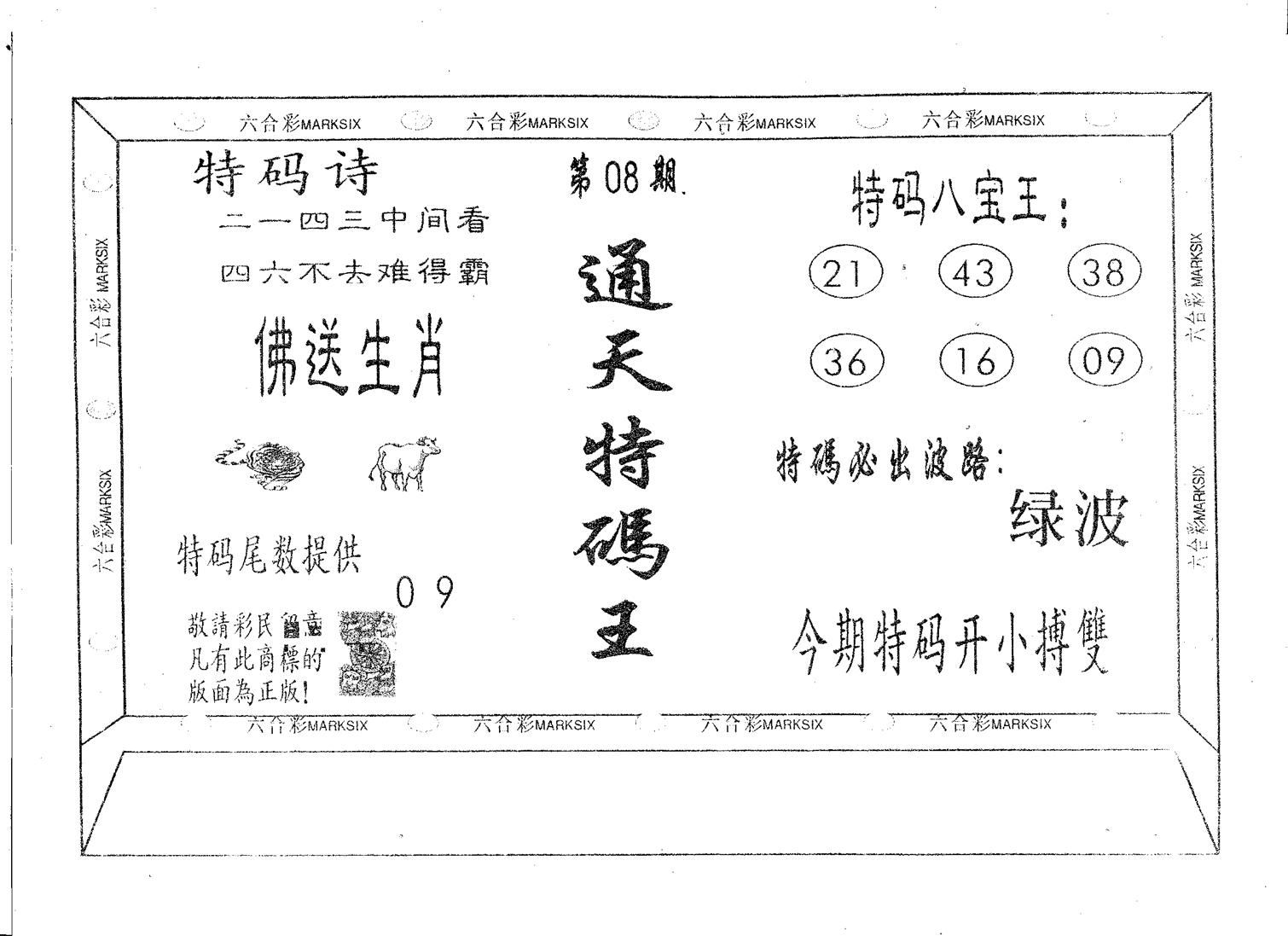 通天特码王 第8期