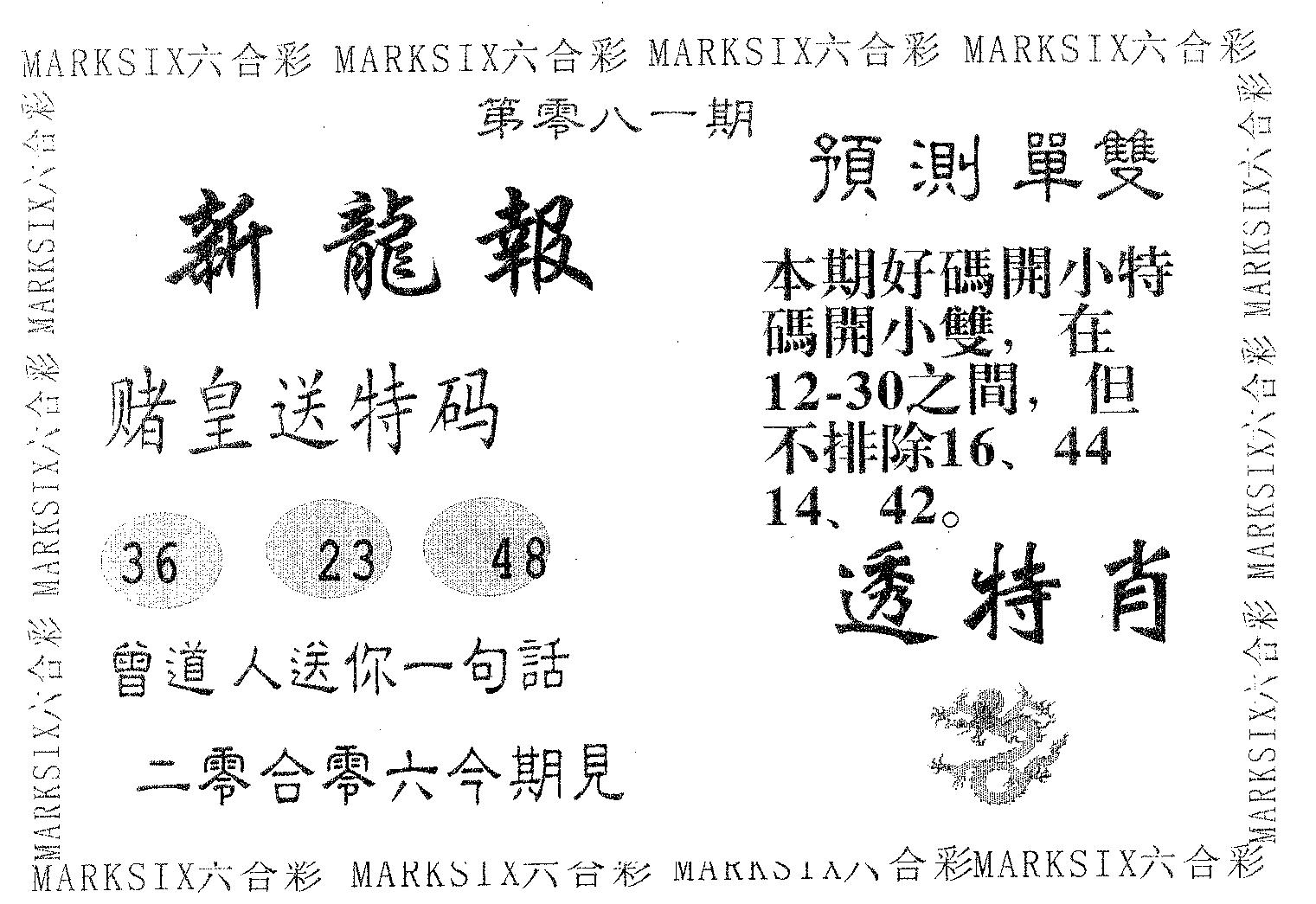 新龙报 第81期