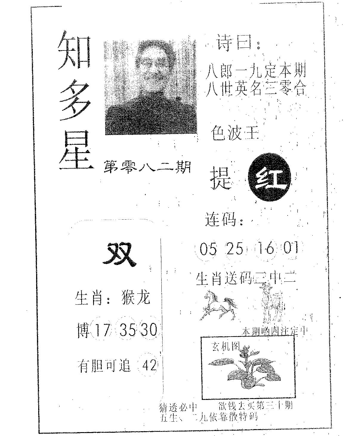 知多星 第82期