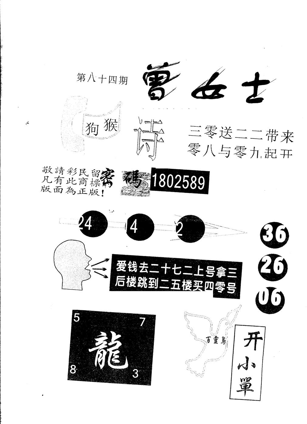 另版曾女士百灵鸟 第84期