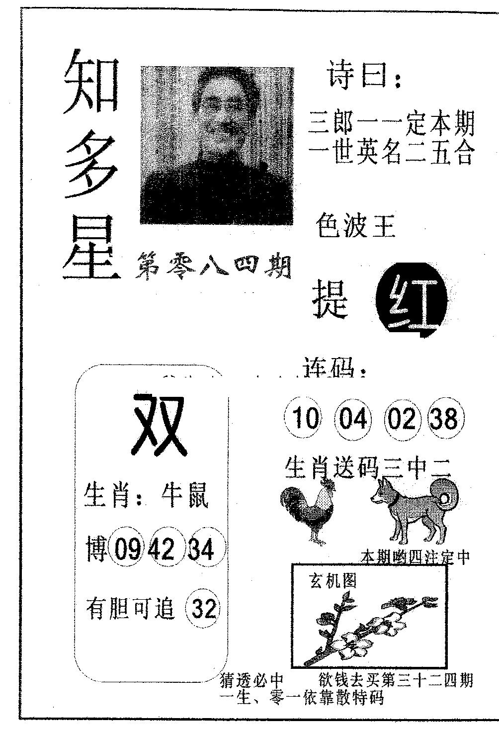 知多星 第84期