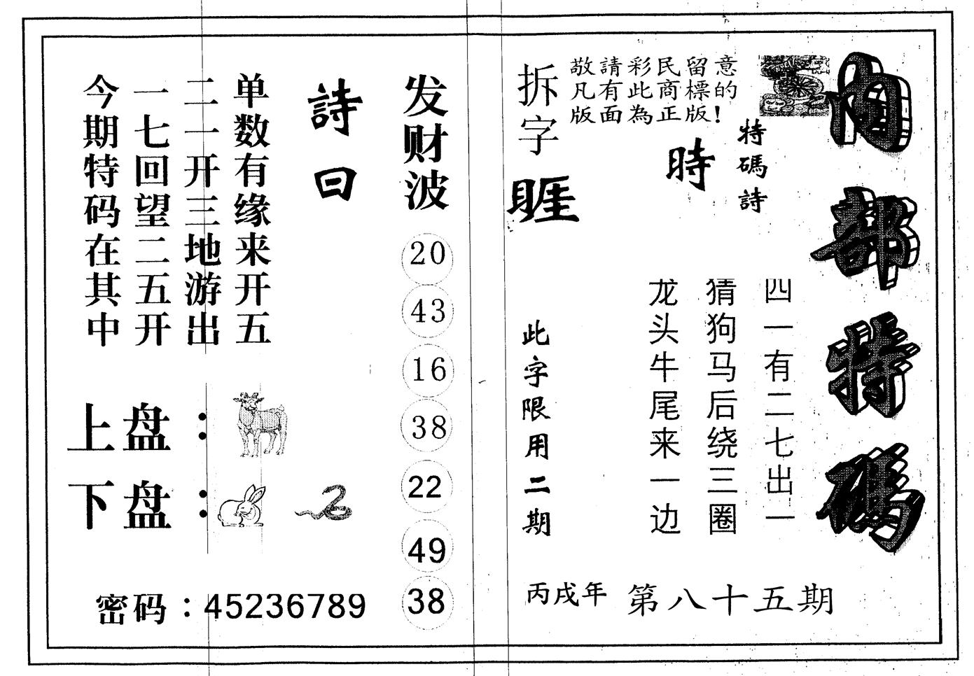 另版内部特码 第85期