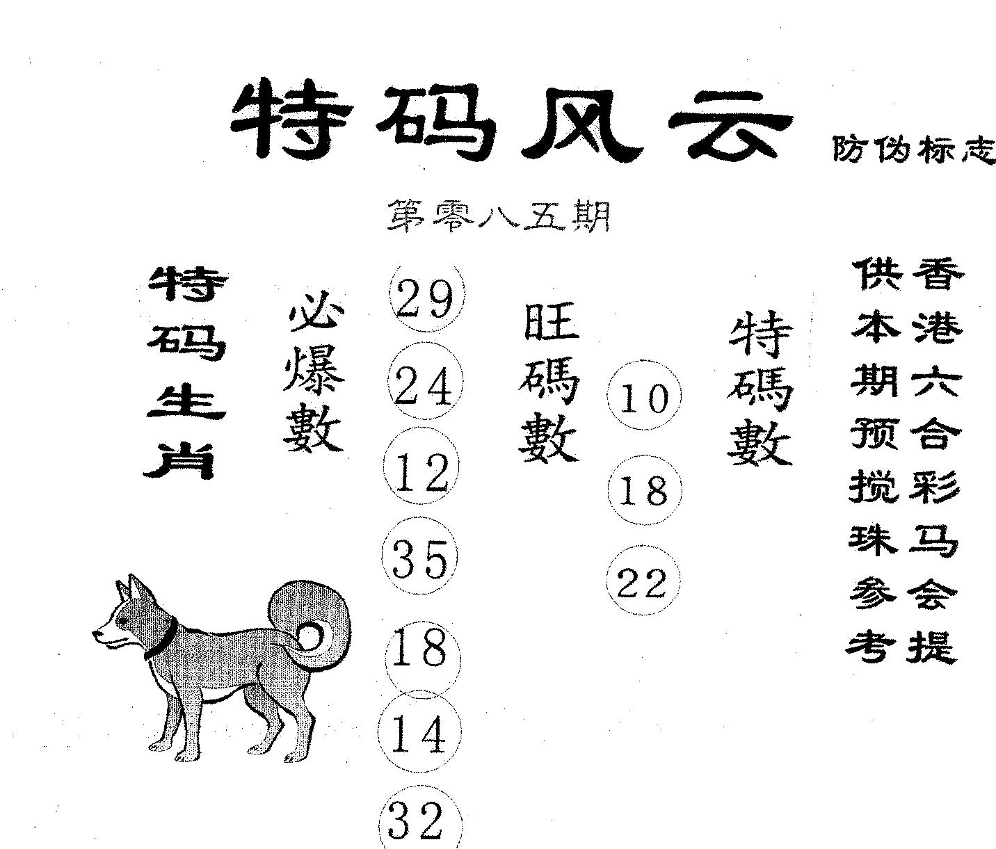 特码风云 第85期