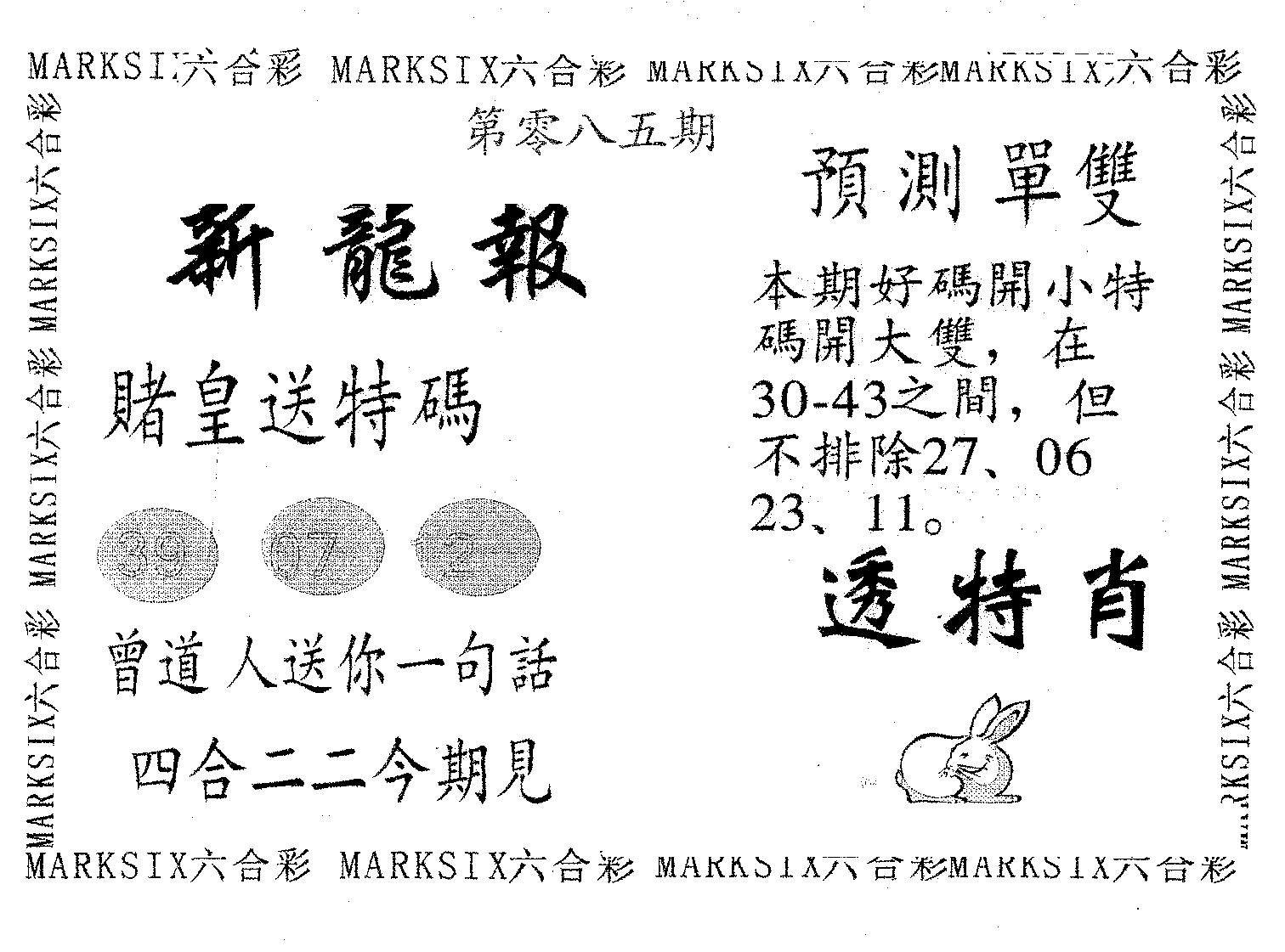 新龙报 第85期