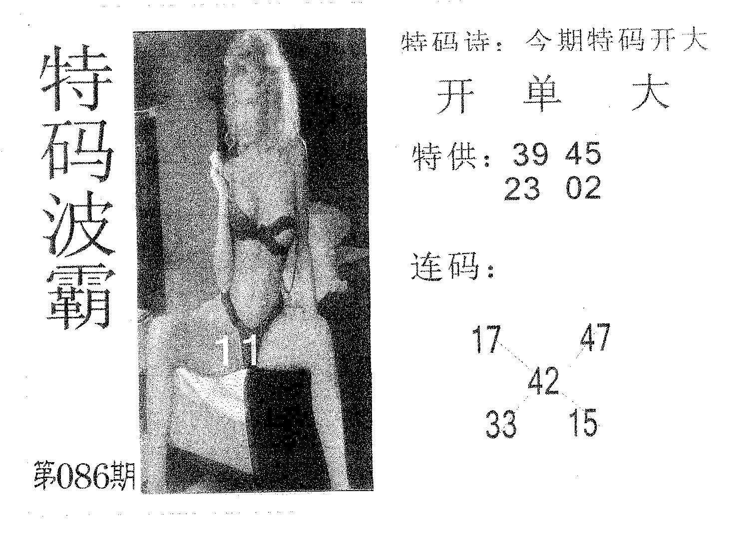 特码波霸 第86期