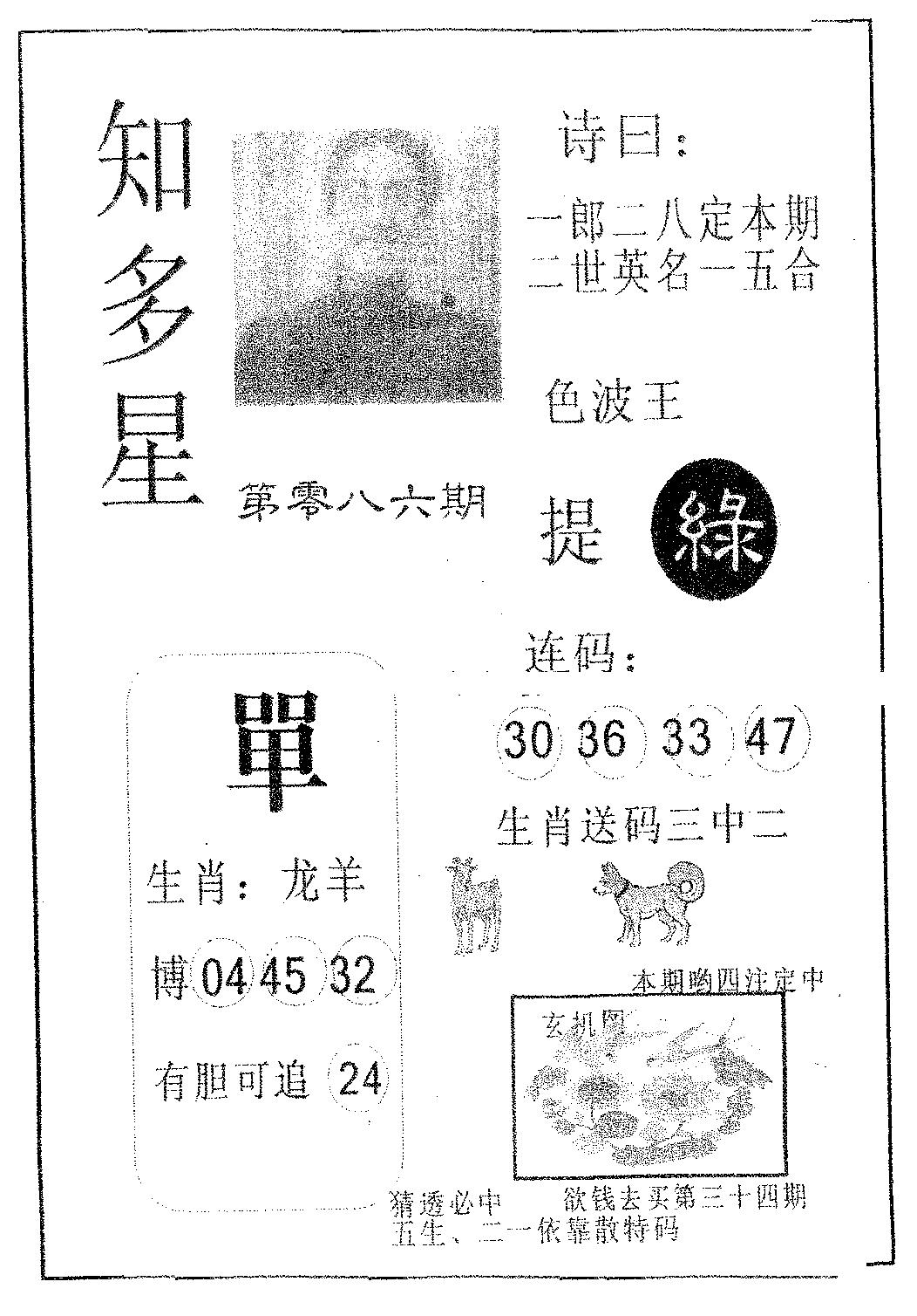 知多星 第86期