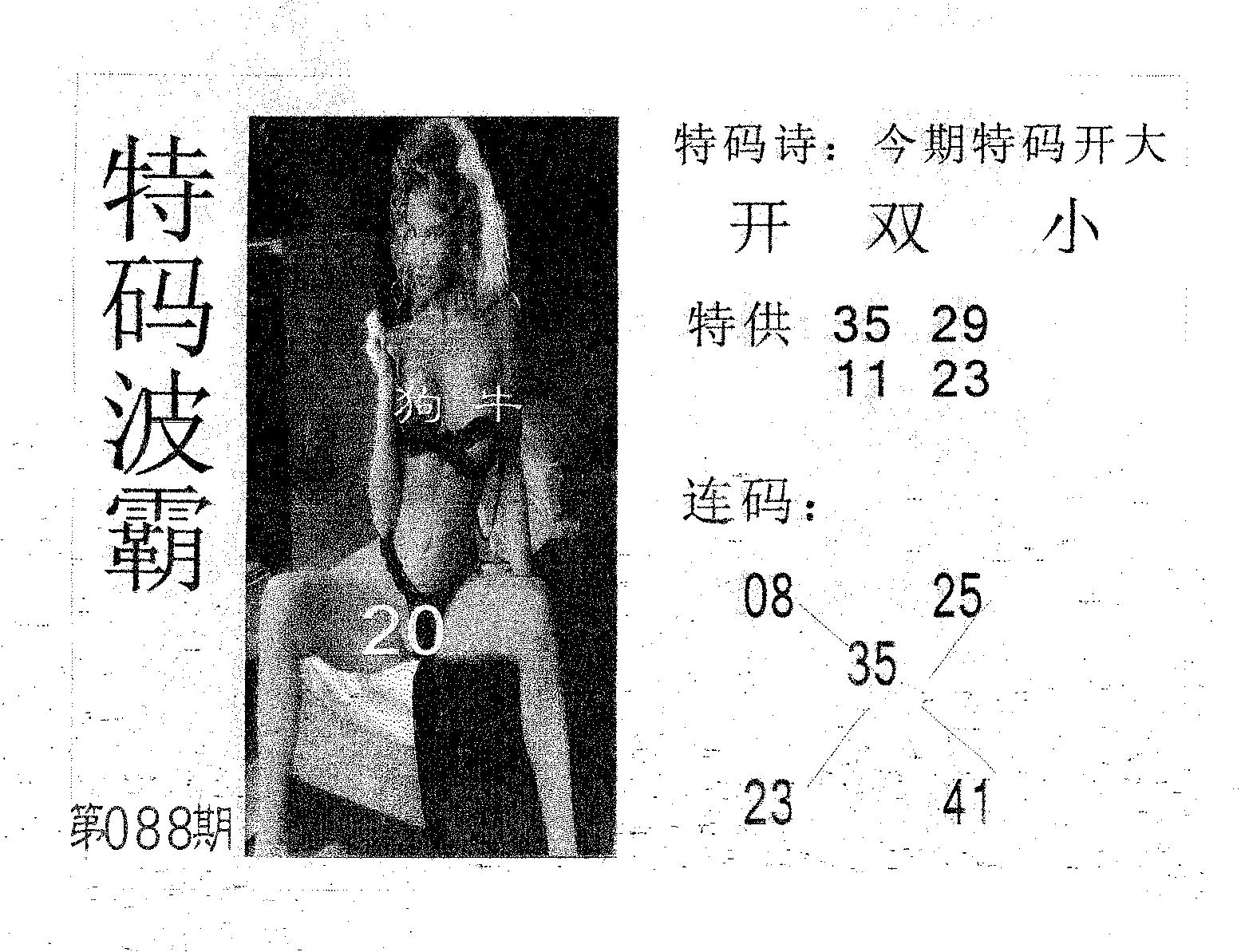 特码波霸 第88期