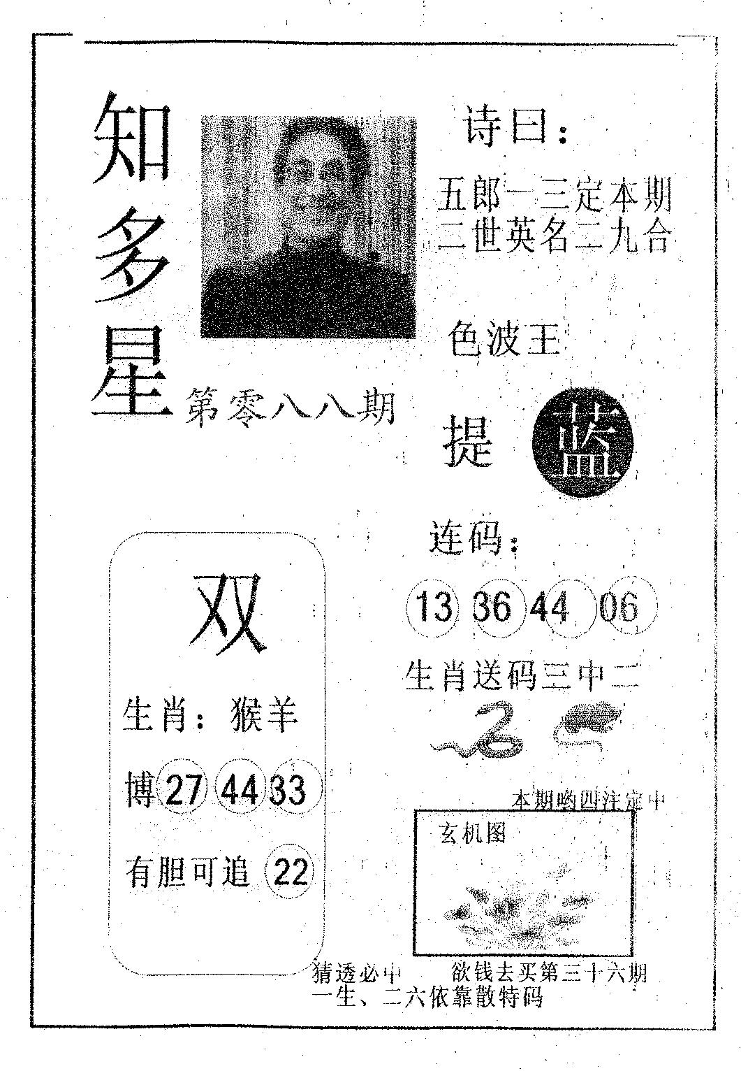 知多星 第88期