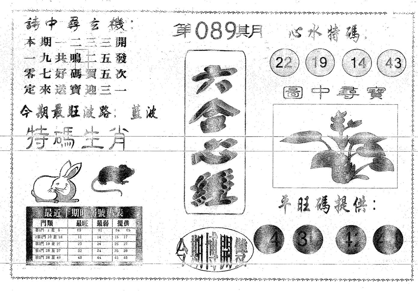 六合心经 第89期
