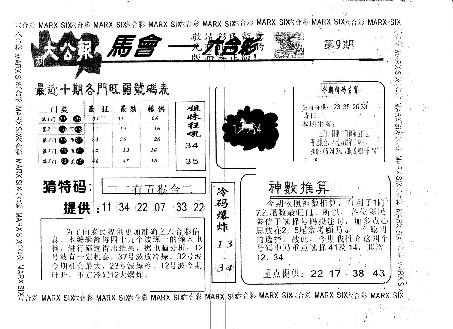 另版大公报 第9期