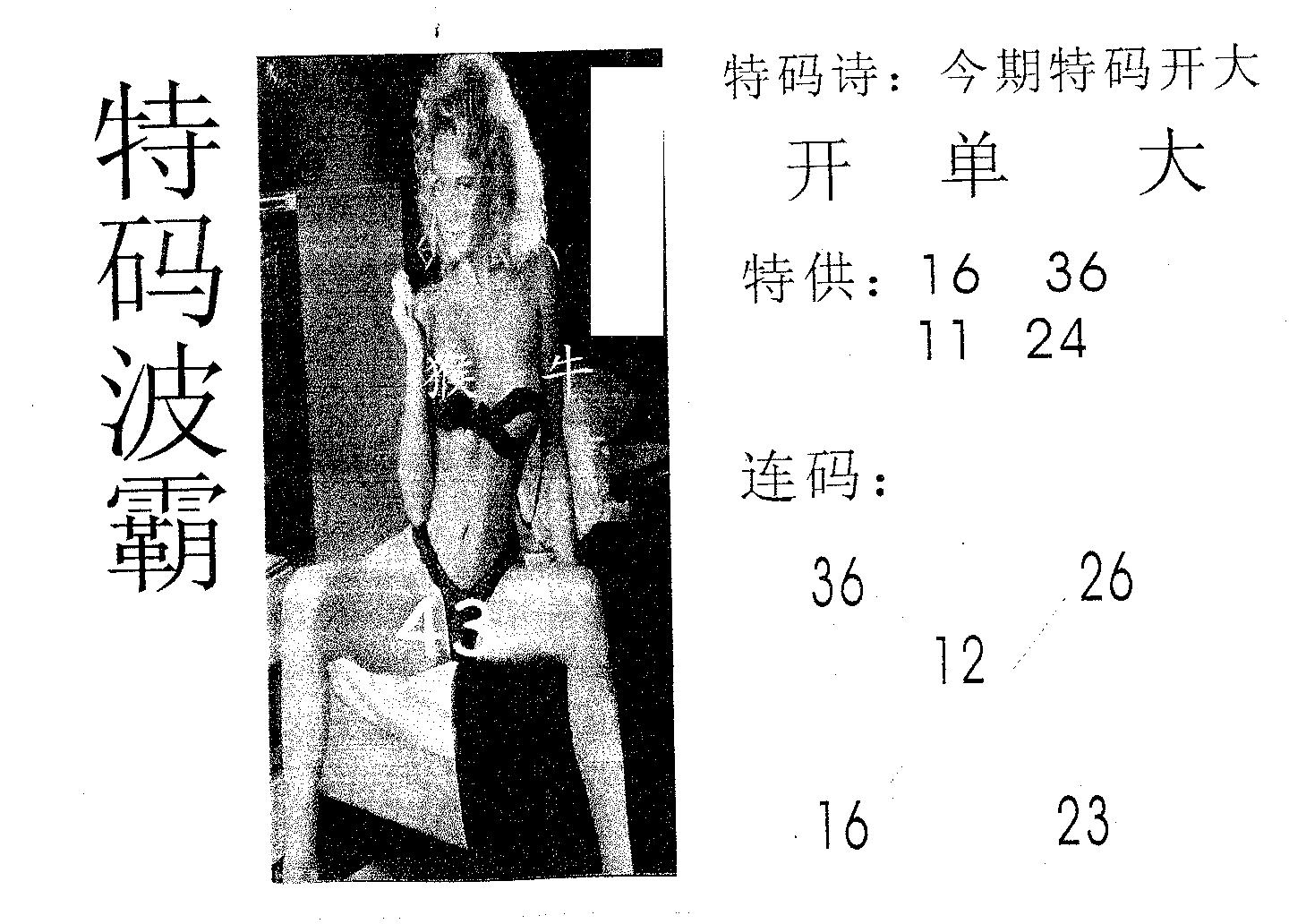 特码波霸 第9期