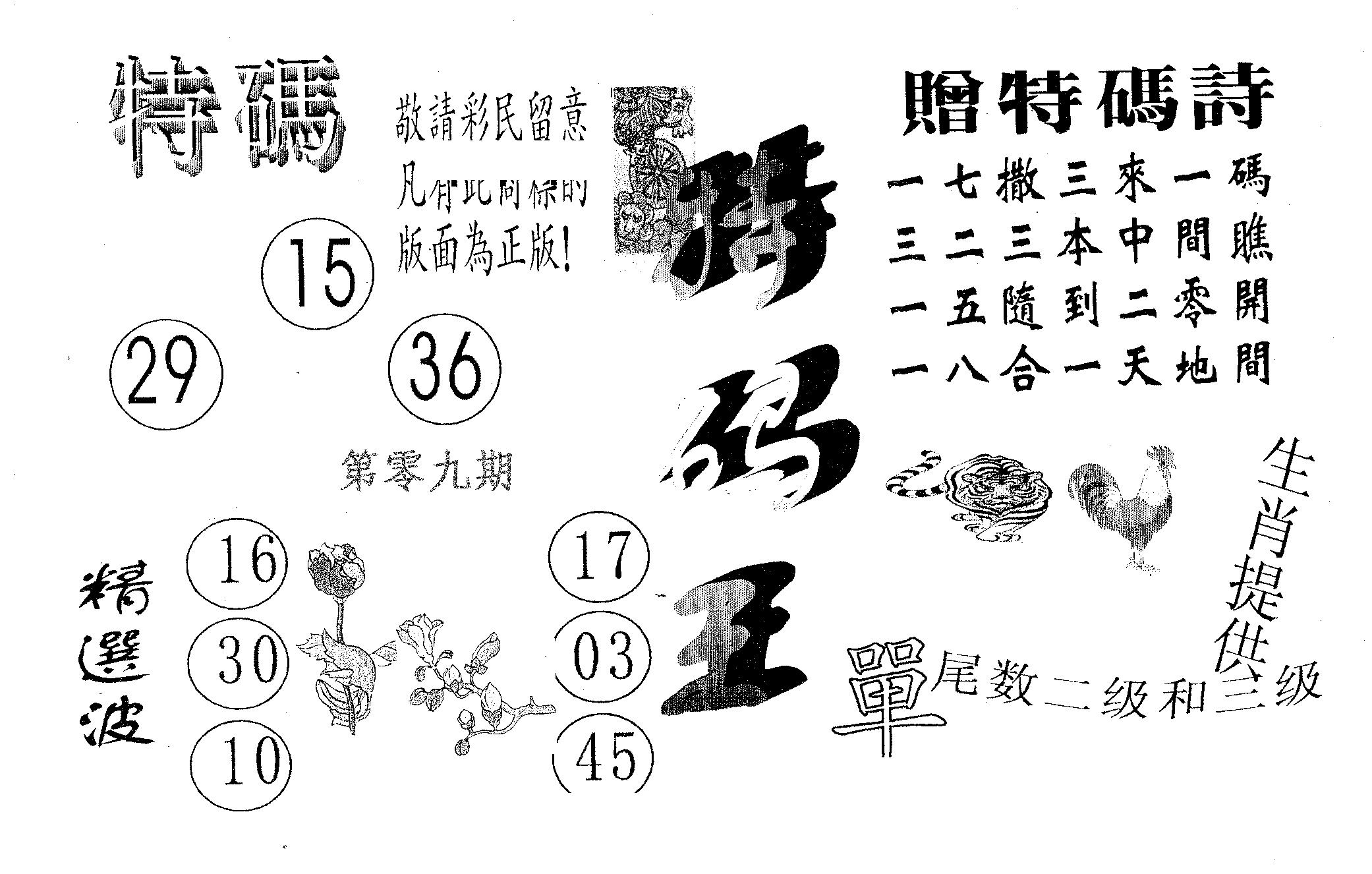 特码王A 第9期