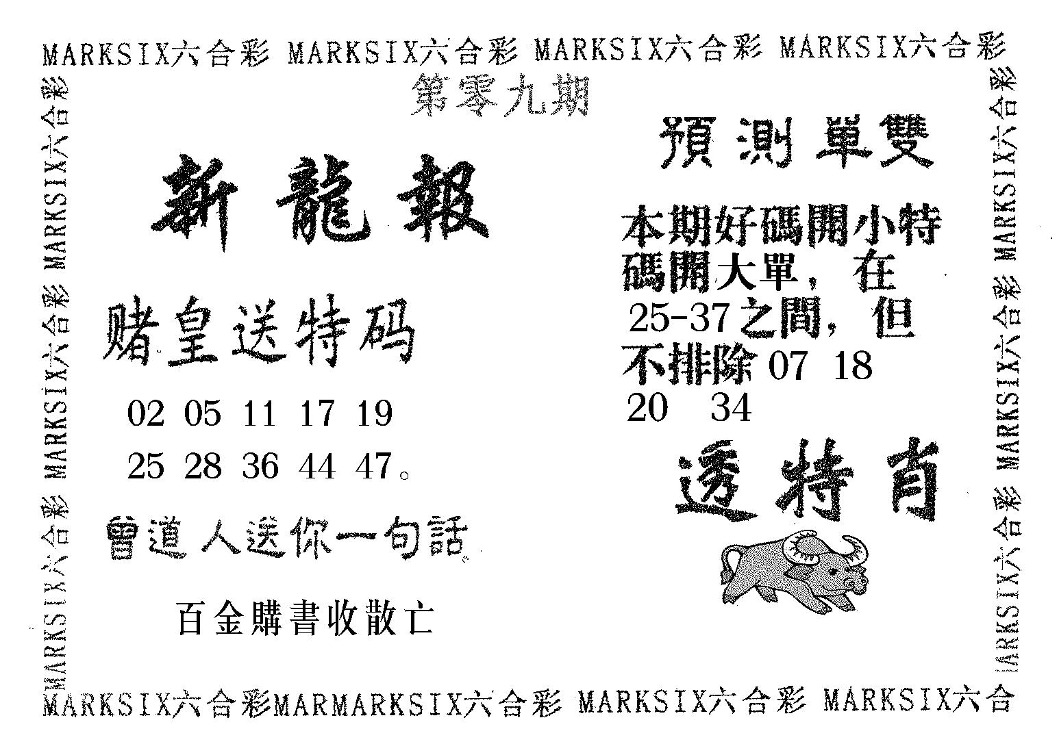 新龙报 第9期
