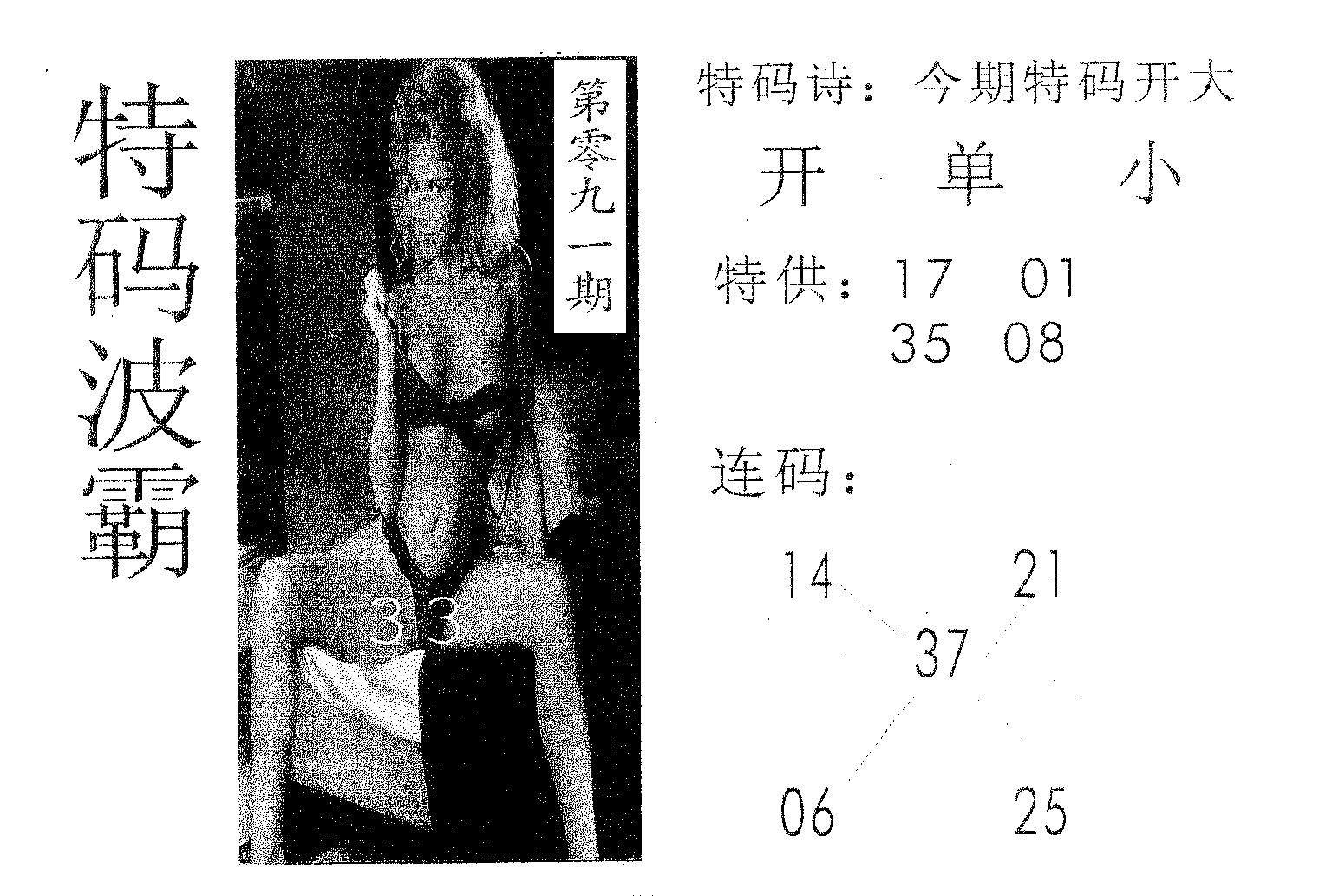 特码波霸 第91期