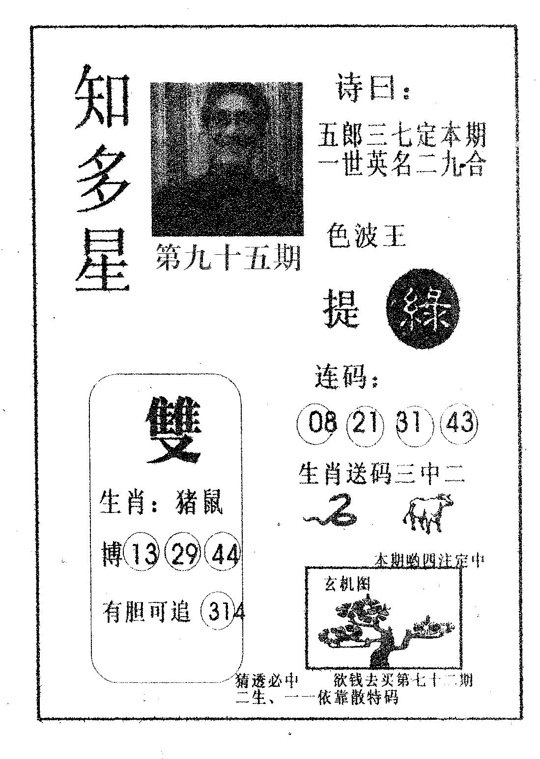 知多星 第95期