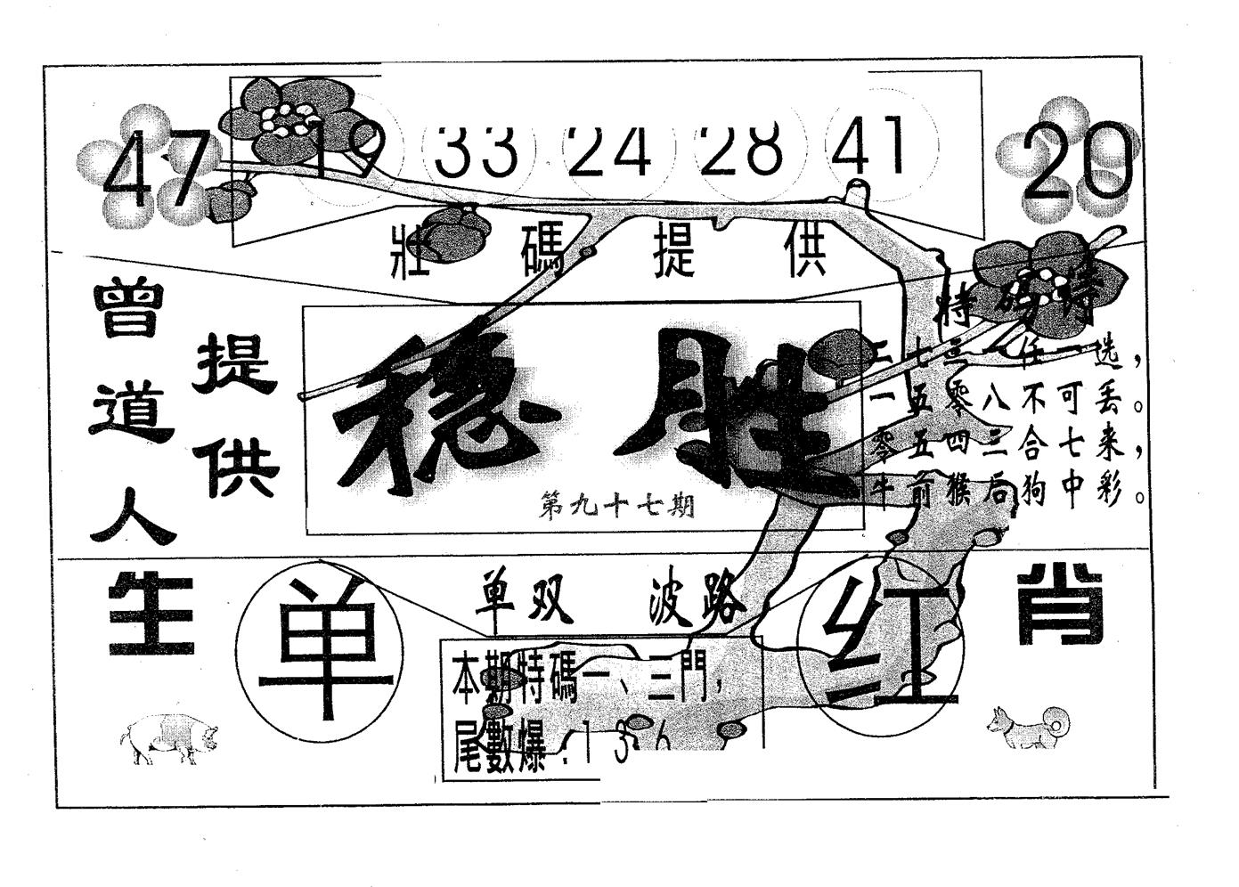 稳胜 第97期
