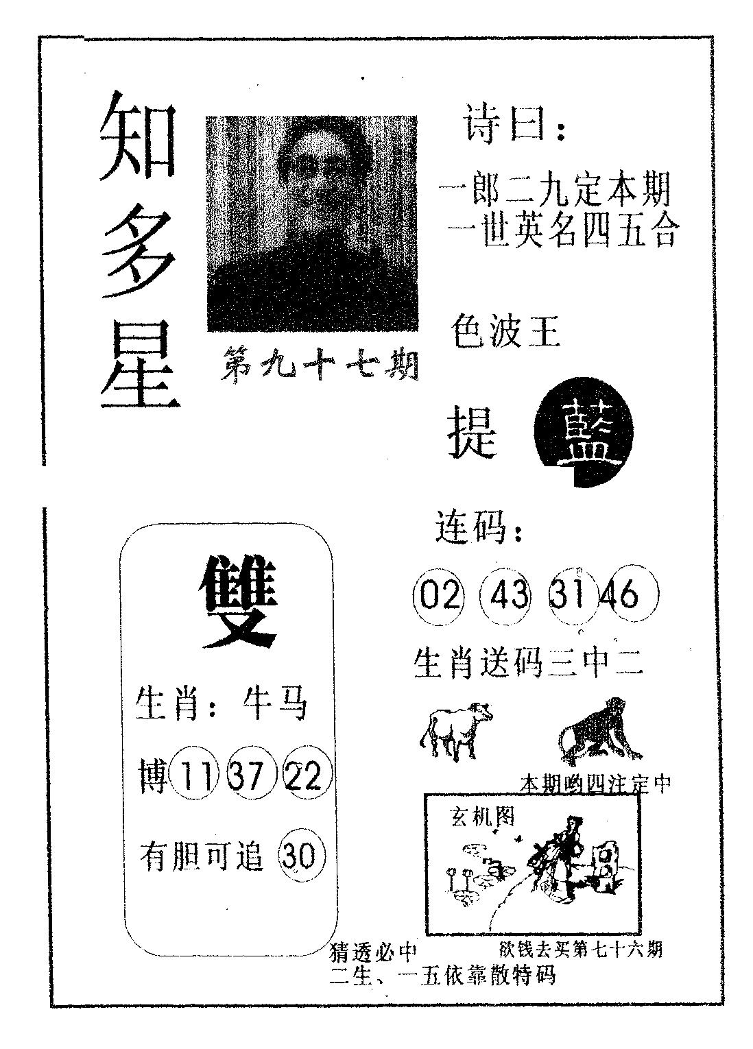 知多星 第97期